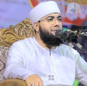 খেলাফত মজলিস